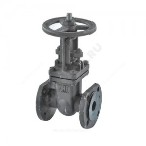 Задвижка клиновая сталь 30с41нж Ду 250 Ру16 фл Китай 09.010.16.250