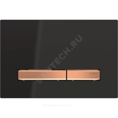 Кнопка для инсталляции Sigma 50 Geberit 115.670.DW.2