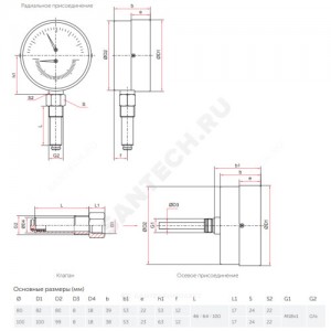 Манометр ТМ-810Р.00 радиальный Дк250мм 0-1,6 МПа М20х1,5 Росма 00000009032