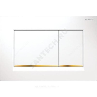 Кнопка для инсталляции Sigma 30 белая/позолота Geberit 115.883.KK.1