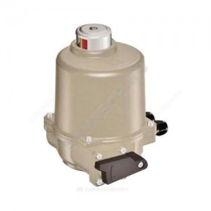 Электропривод ГЗ-ОФ-18/15К F05 11х11 квадрат 220В У1 (-30+60) ГЗ Электропривод