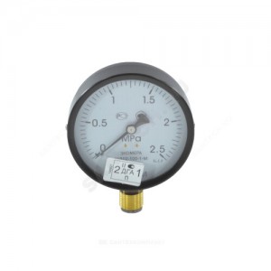 Манометр МД 02 радиальный Дк100мм 0-16 бар G1/2" ЭКОМЕРА