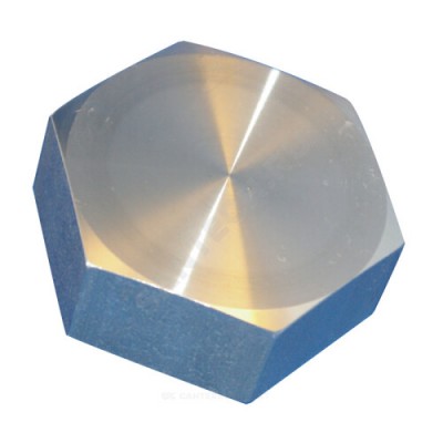 Заглушка резьбовая 3" Wilo 2521156