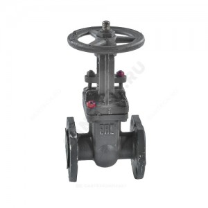 Задвижка клиновая сталь 30с41нж Ду 250 Ру16 фл Россия