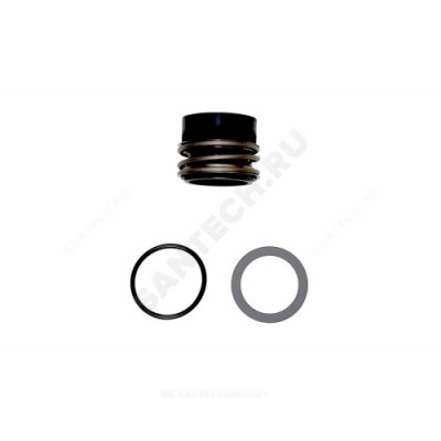 Уплотнение торцевое Shaft seal BAQE GG D48 Grundfos 96306472