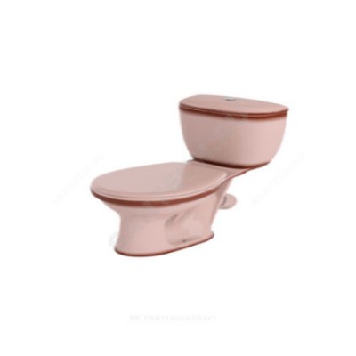 Унитаз-компакт Виктория декор беж задний подвод косой выпуск Santeri 1.P301.6.S07.00B.F